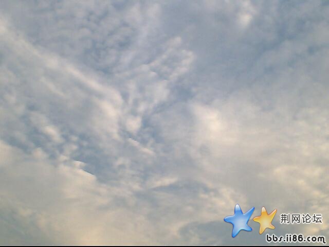 IMG0657A.jpg