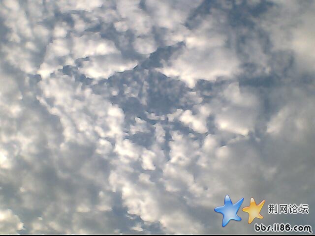 IMG0655A.jpg