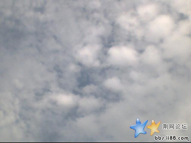 IMG0651A.jpg