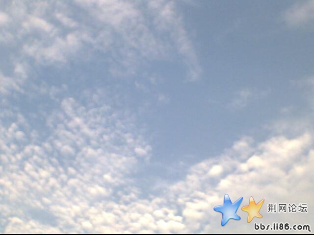 IMG0654A.jpg