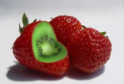 400x271_119ef8469f6.jpg