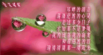20041116023330200462723490838_1.gif