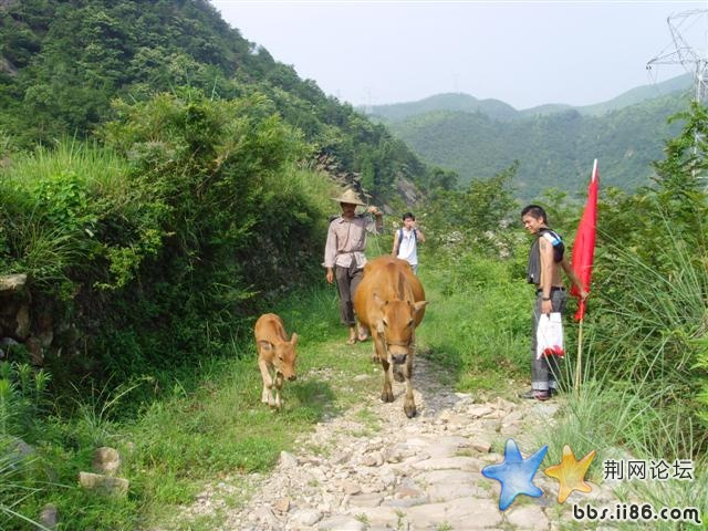 SNV33425.JPG