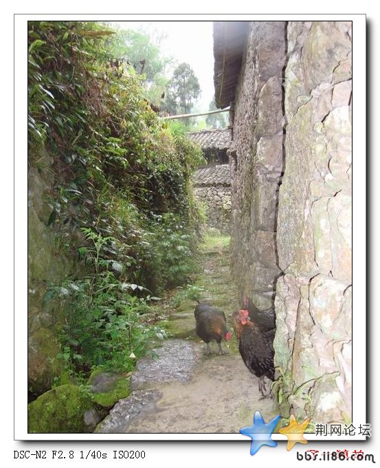 悠闲自得.jpg