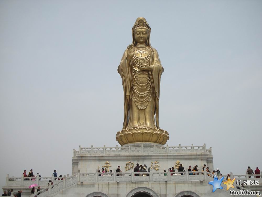 江南雨请不要移走这是队里的财神