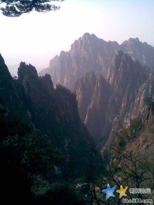 {82396F9F-FD1D-4456-A687-21816C9E3C6A}.JPG