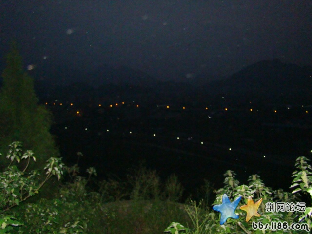 DSC00469.JPG