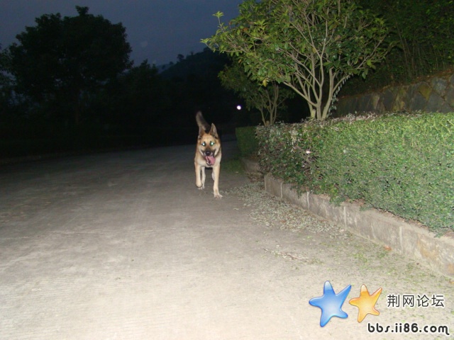 DSC00454.JPG