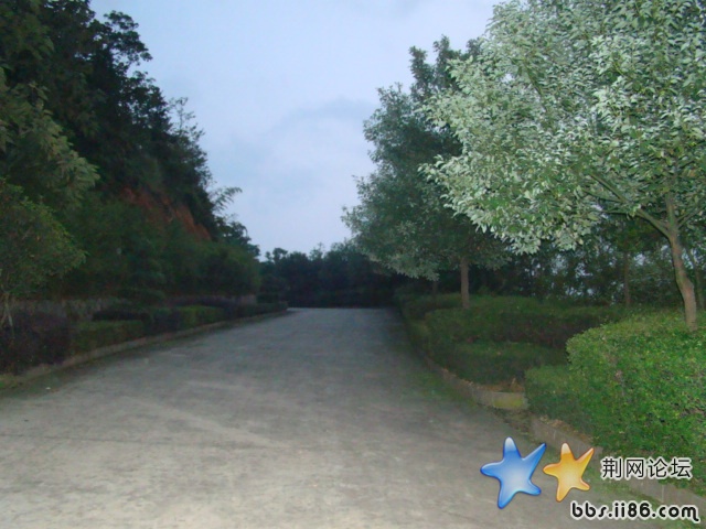 我上山的路上
