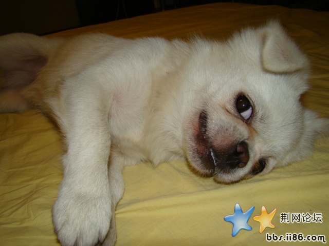 DSC00527.JPG