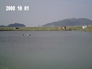 Img0013.jpg