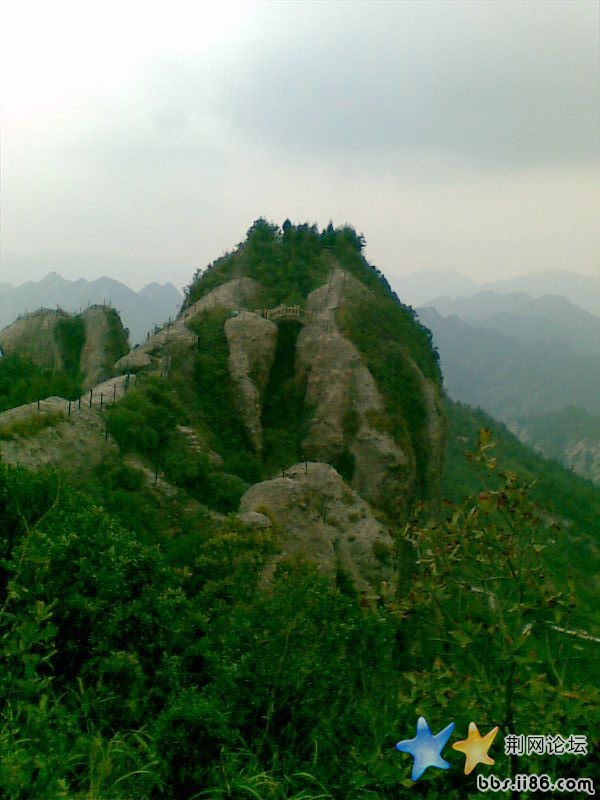 图像100.jpg