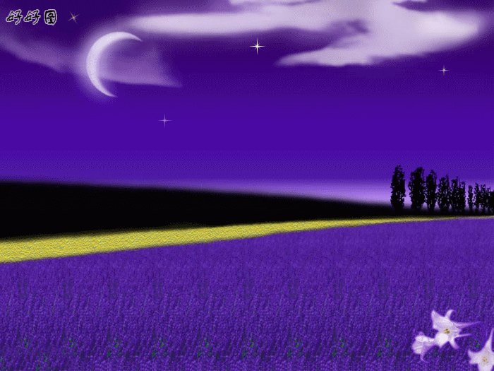 10805313_6204445.gif