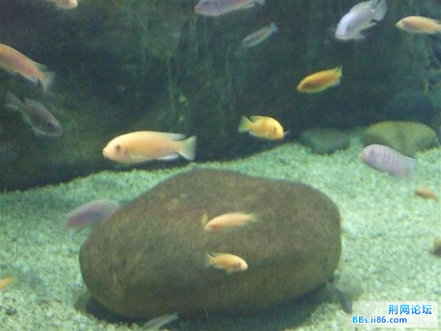 DSCF9041.JPG