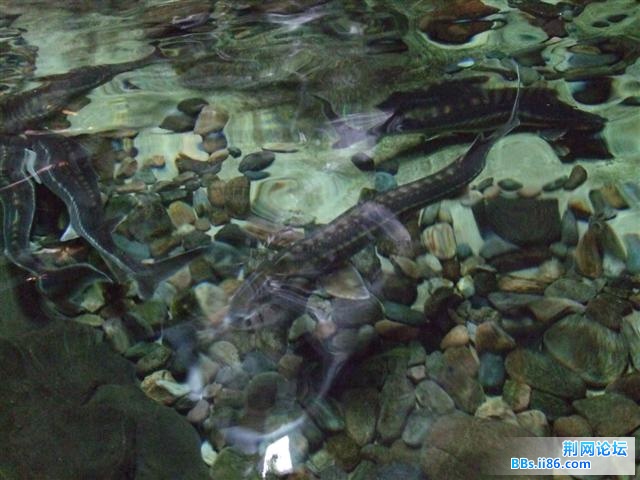 DSCF9072.JPG