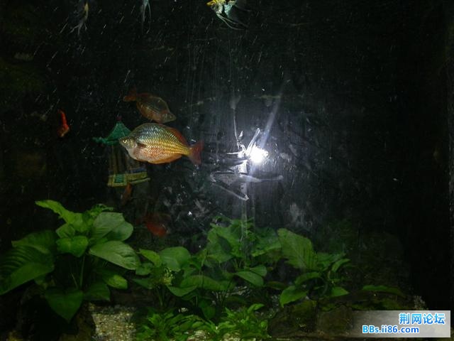 DSCN5345.JPG