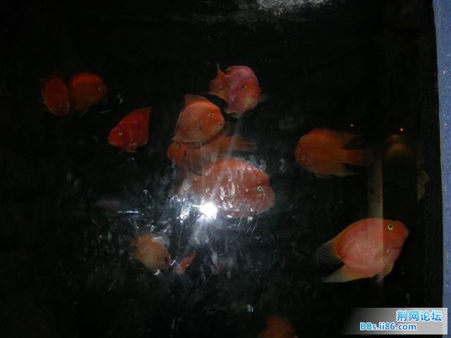 DSCN5349.JPG
