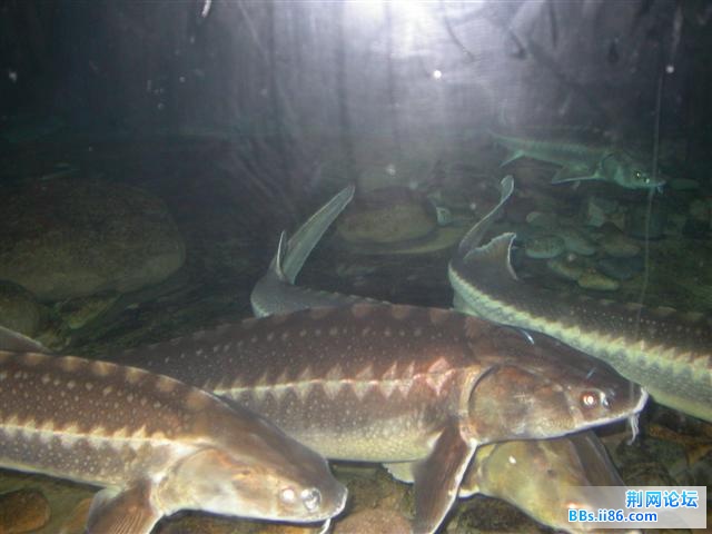 DSCN5377.JPG