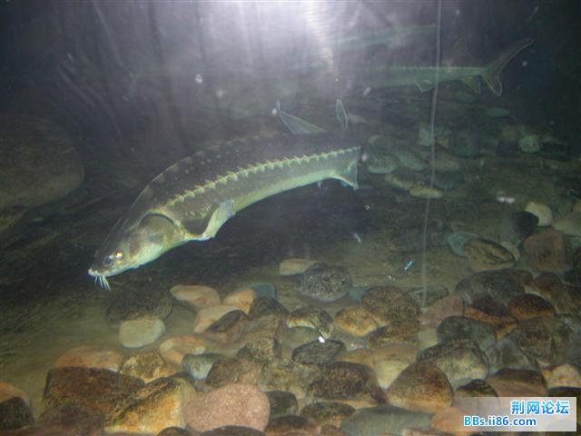 DSCN5375.JPG