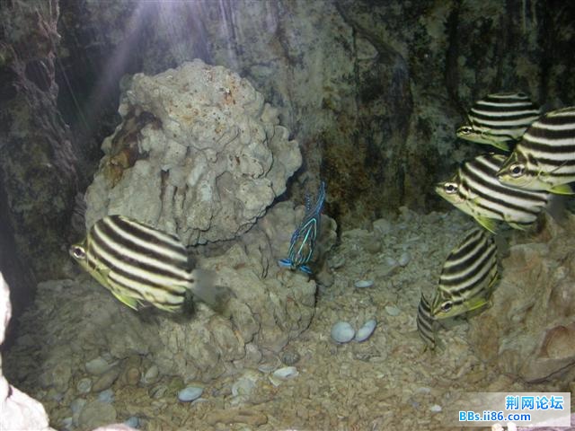 DSCN5357.JPG