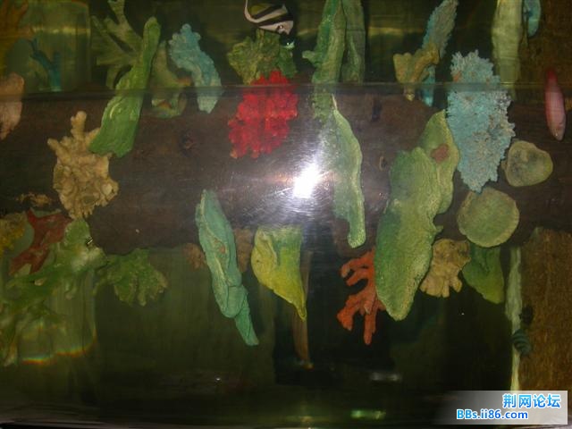DSCN5350.JPG
