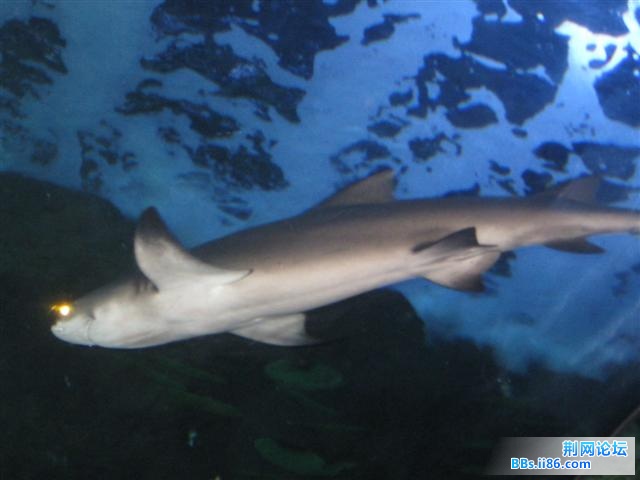 IMG_4028.JPG