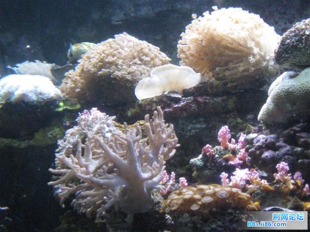 IMG_4002.JPG