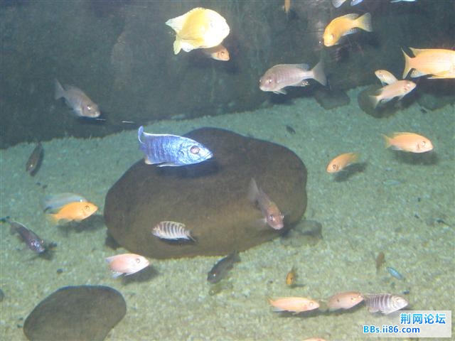 IMG_3979.JPG