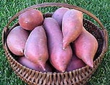 55.jpg