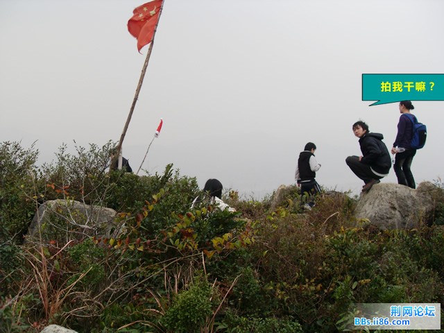 SDC12486.JPG