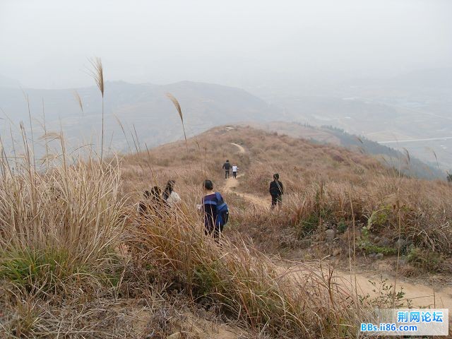 SDC12517.jpg