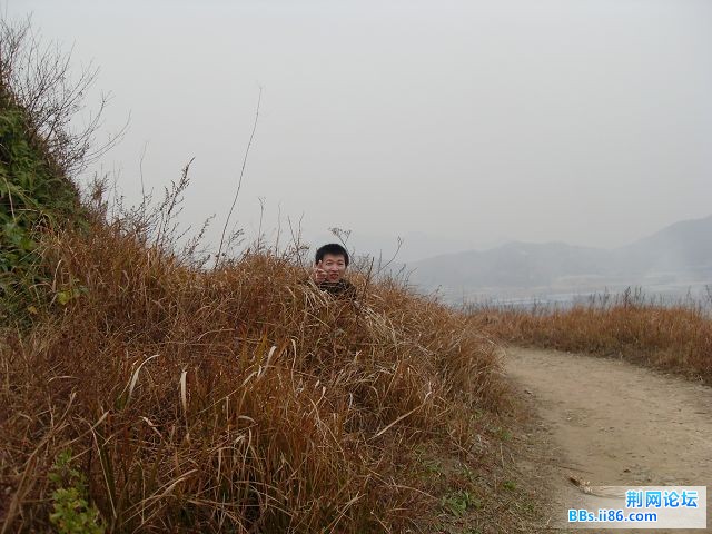 SDC12533.jpg