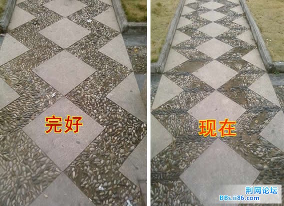 xiaobaozhou2.jpg