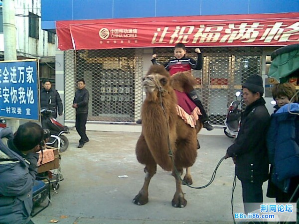 旋转 图像001.jpg