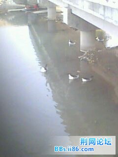 IMG0199A.jpg