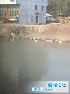 IMG0203A.jpg