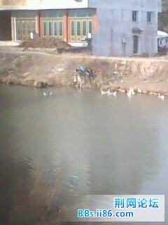 IMG0204A.jpg