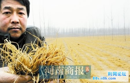 abbr_7975ffe951213178d87800075f8fec91.jpg