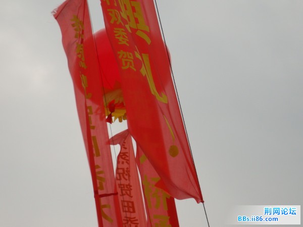DSC00033.jpg