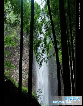 nEO_IMG_nEO_IMG_城北080622b.jpg