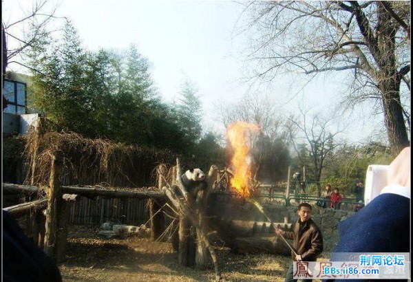 20090212_7d5332db5fba43618a2aaZwOkzwqsah6.jpg