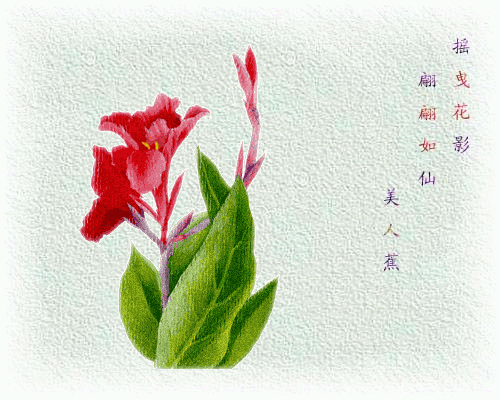 176_76831_d0c87ca31348dd7.gif