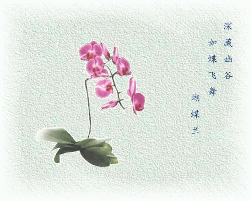 176_76831_d3184cf97ccdafe.gif