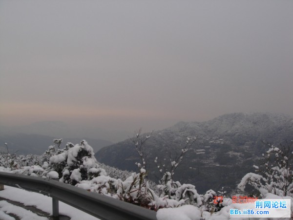 景在去黄岩的路，好美啊！2009年的雪