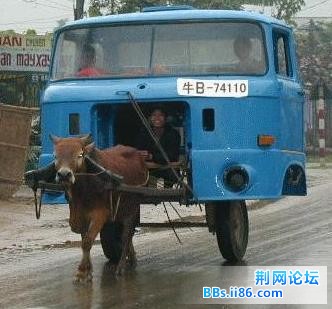 牛车.jpg