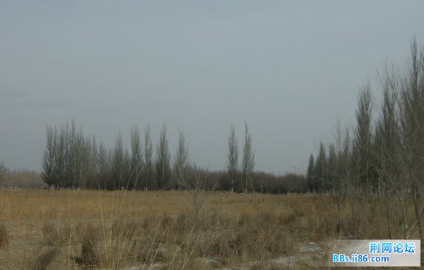 9058.JPG