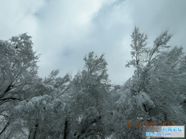 红山 037.jpg