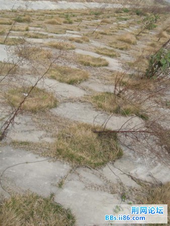 SDC13407.JPG