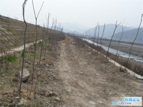 SDC13424.JPG