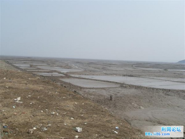 SDC13390.JPG